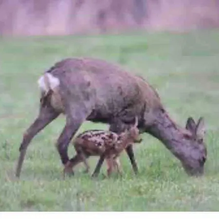 Du Rouge Gorge Normandy Casa vacanze